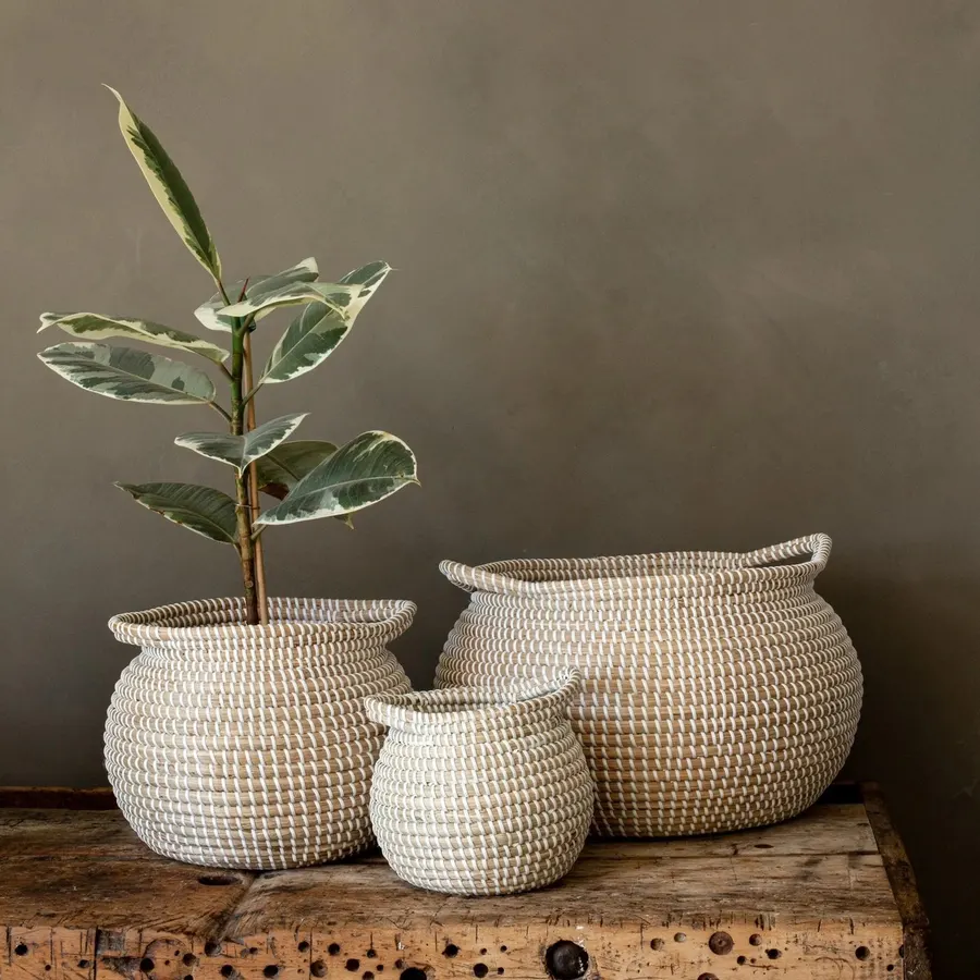 Cachepô de seagrass CH555