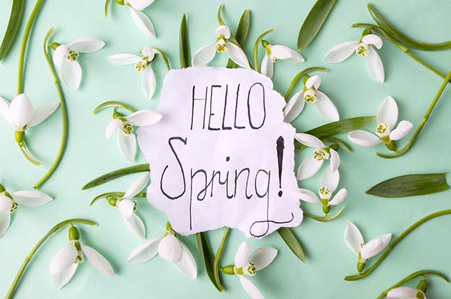 início primavera